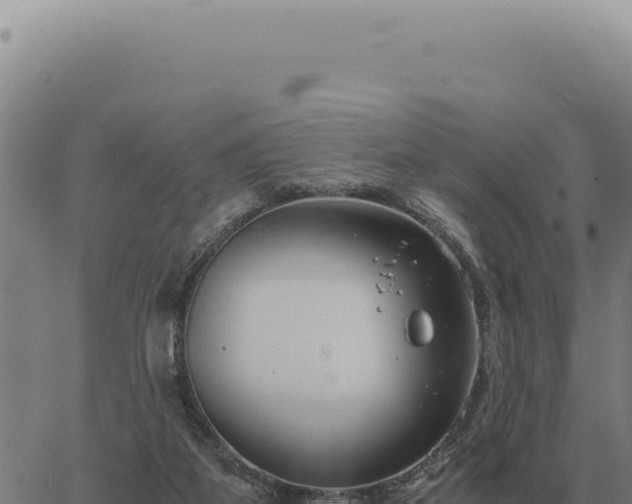 X0000063500115200601271755