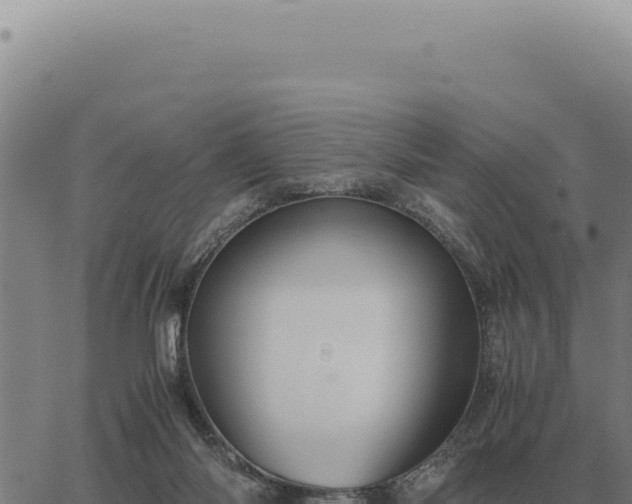 X0000063500118200601271755