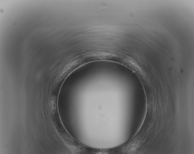 X0000063500119200601271755