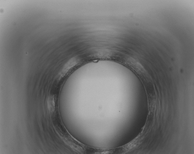 X0000063500120200601271755