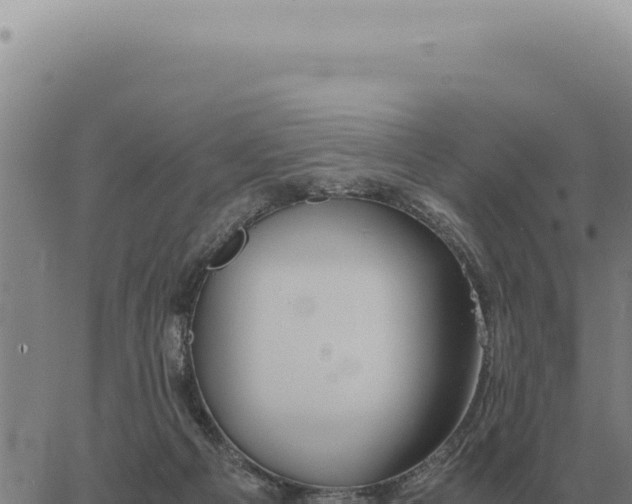 X0000063500121200601271755