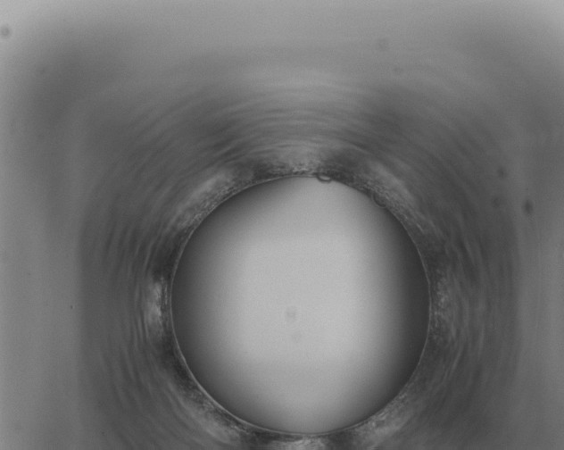 X0000063500122200601271755