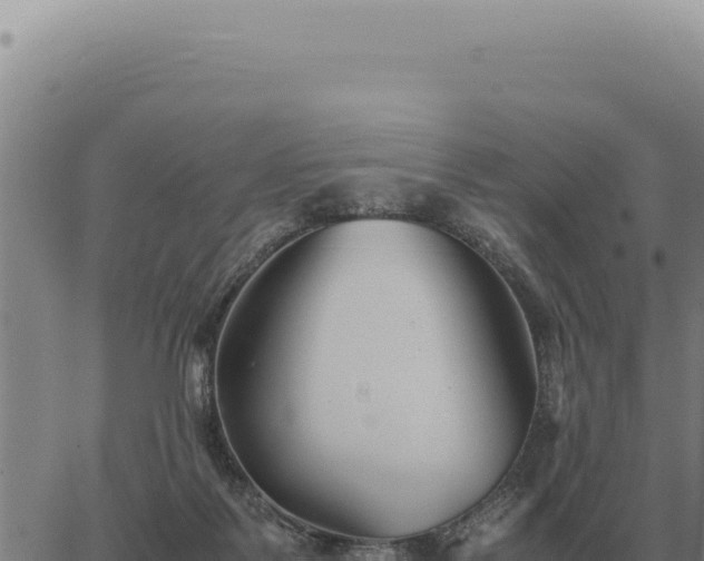 X0000063500123200601271755