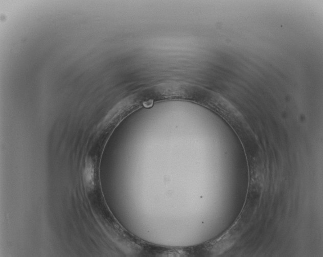 X0000063500124200601271755