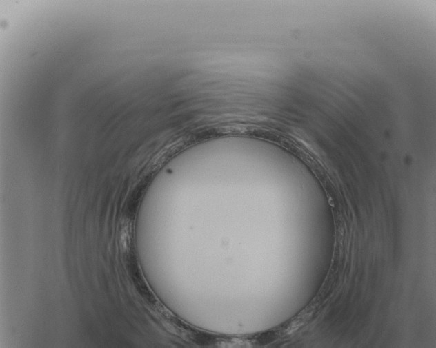 X0000063500125200601271755