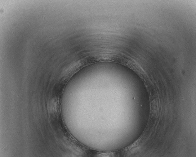 X0000063500126200601271755