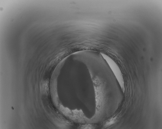 X0000063500127200601271754