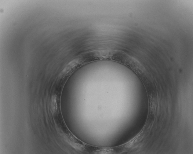 X0000063500128200601271754