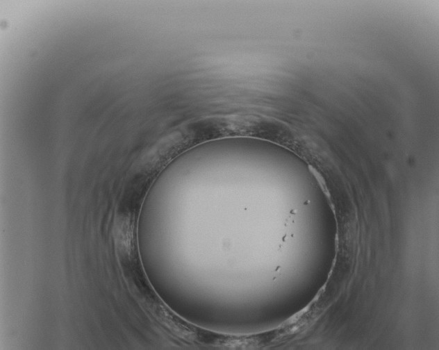 X0000063500129200601271754