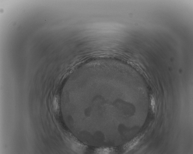 X0000063500131200601271754