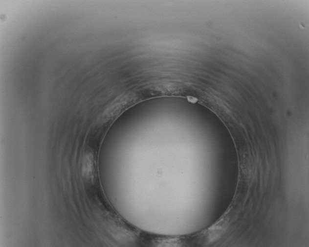 X0000063500132200601271754