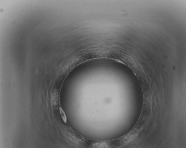 X0000063500133200601271754