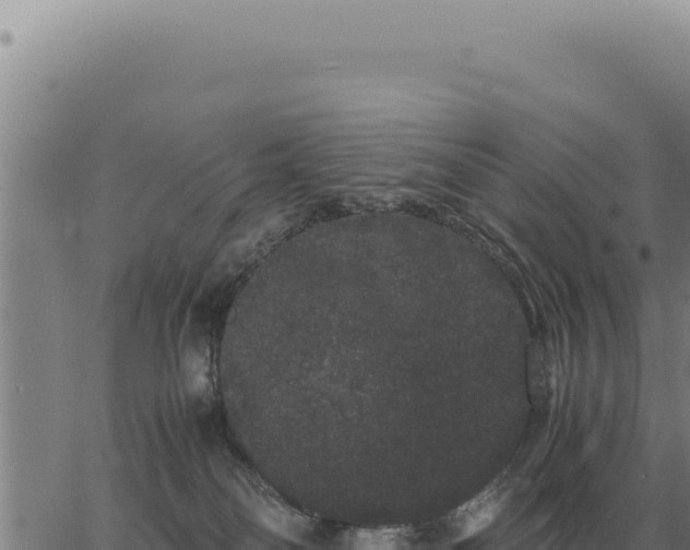 X0000063500134200601271754