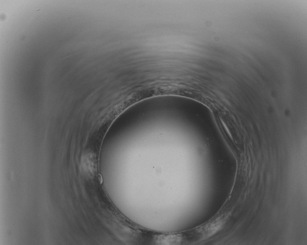 X0000063500135200601271754