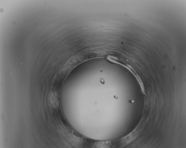 X0000063500136200601271754