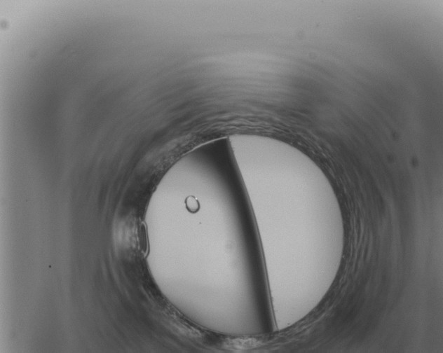 X0000063500137200601271754