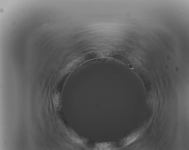 X0000063500139200601271754