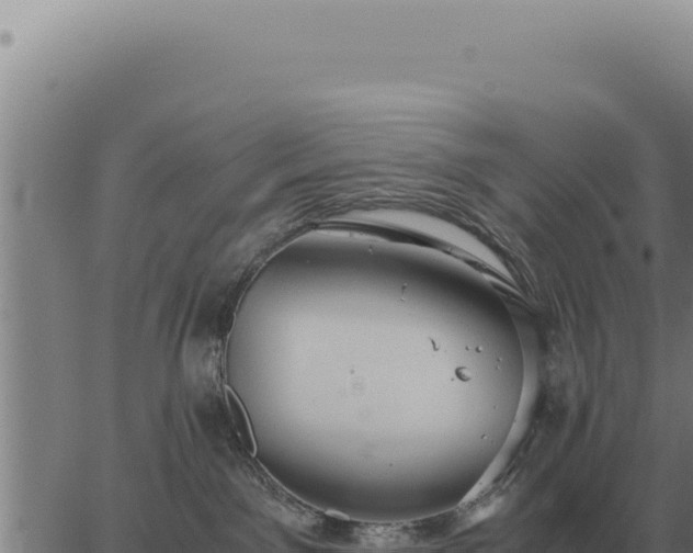 X0000063500141200601271754