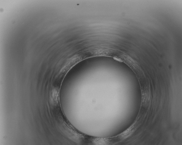 X0000063500142200601271754