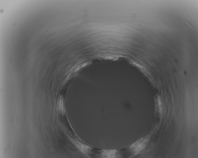 X0000063500143200601271754