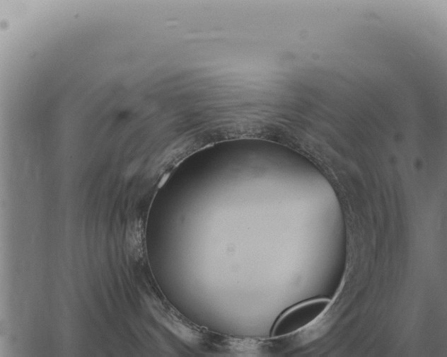 X0000063500144200601271754