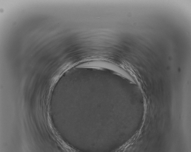 X0000063500145200601271753