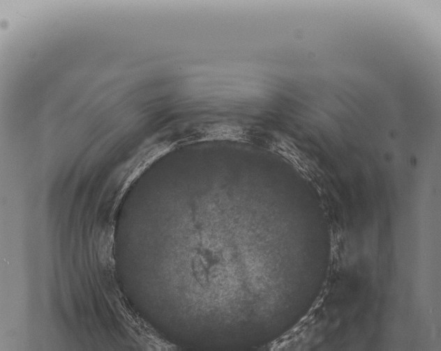 X0000063500146200601271753