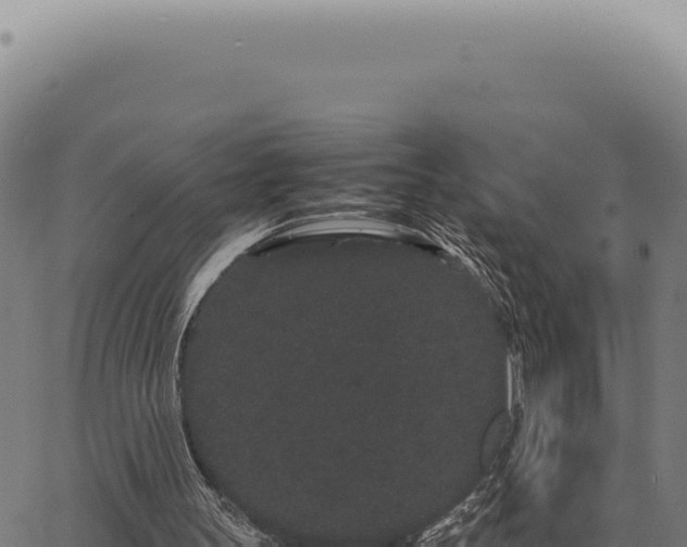 X0000063500147200601271753