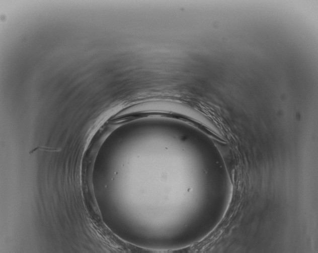 X0000063500148200601271753