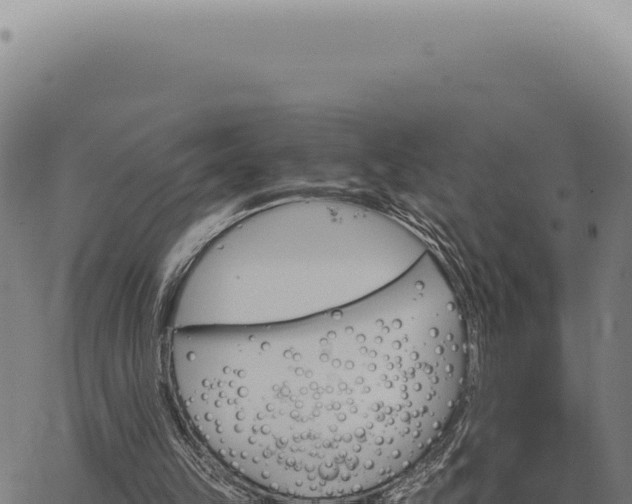 X0000063500149200601271753