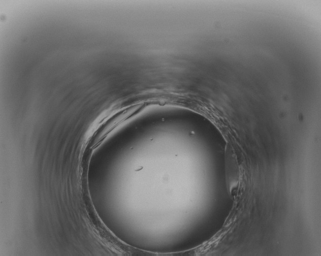 X0000063500150200601271754