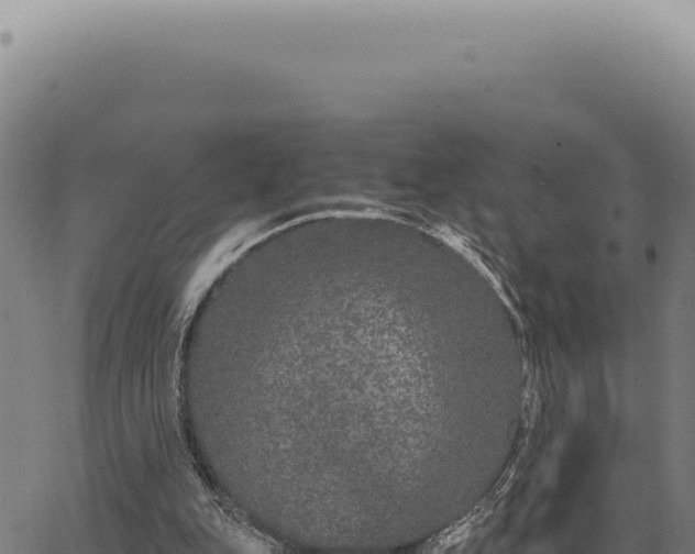 X0000063500151200601271754