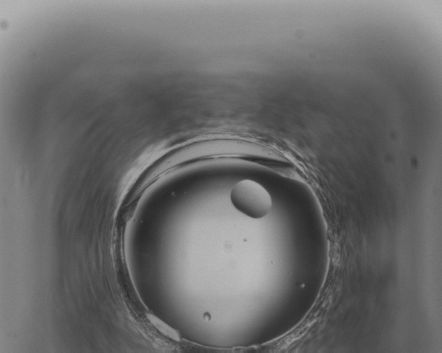 X0000063500152200601271754