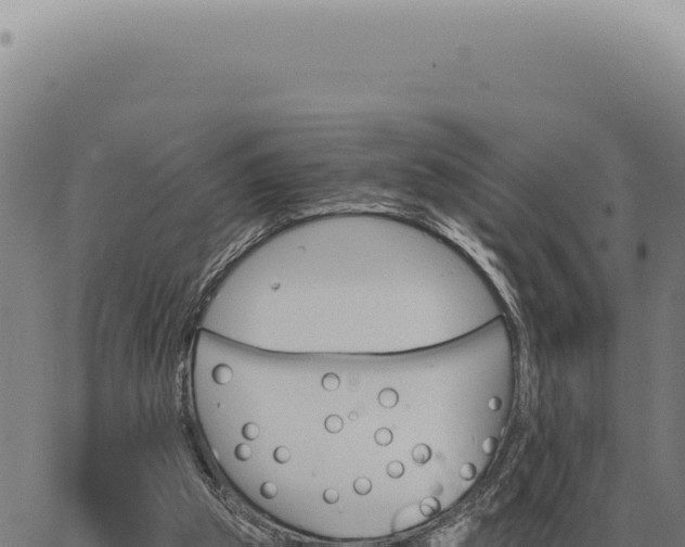 X0000063500153200601271754