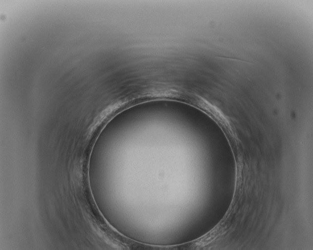 X0000063500155200601271754