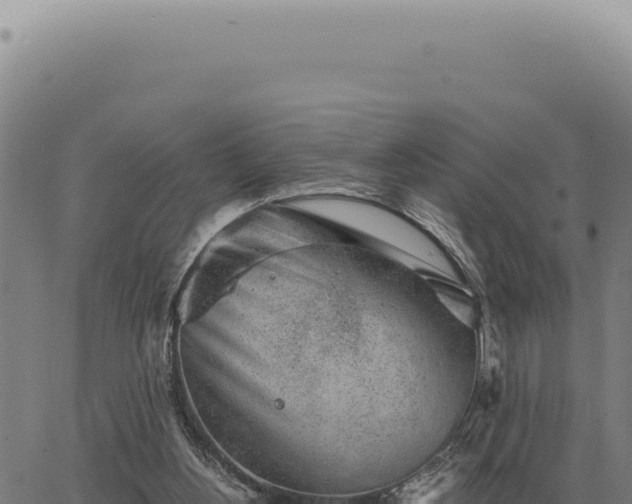 X0000063500156200601271754