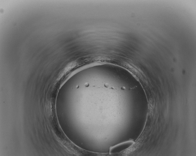 X0000063500158200601271754