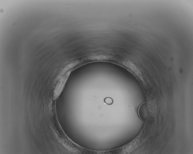 X0000063500159200601271754