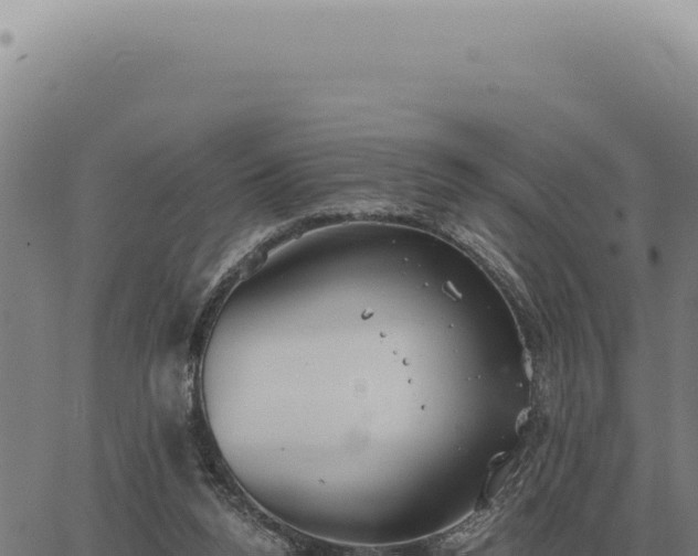 X0000063500160200601271754