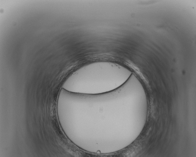 X0000063500161200601271754