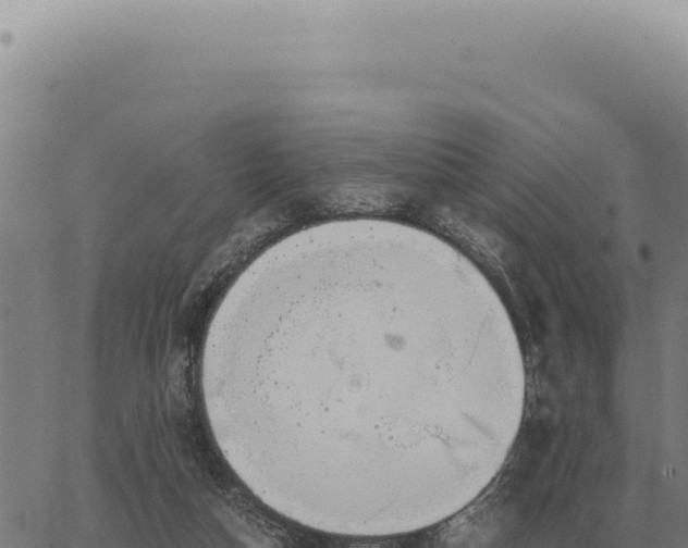 X0000063500162200601271754