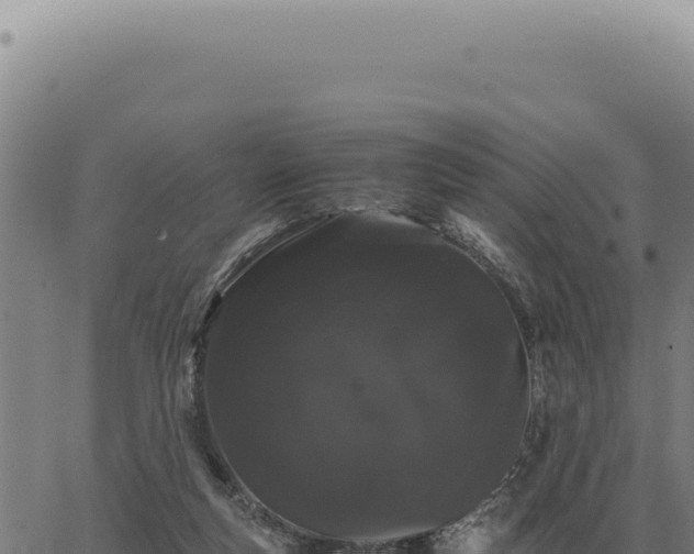 X0000063500163200601271754