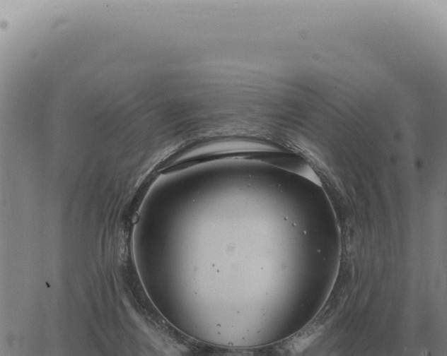 X0000063500164200601271754