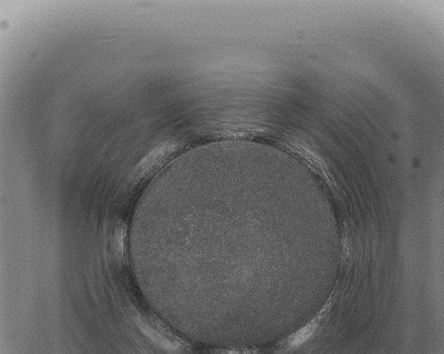 X0000063500166200601271754