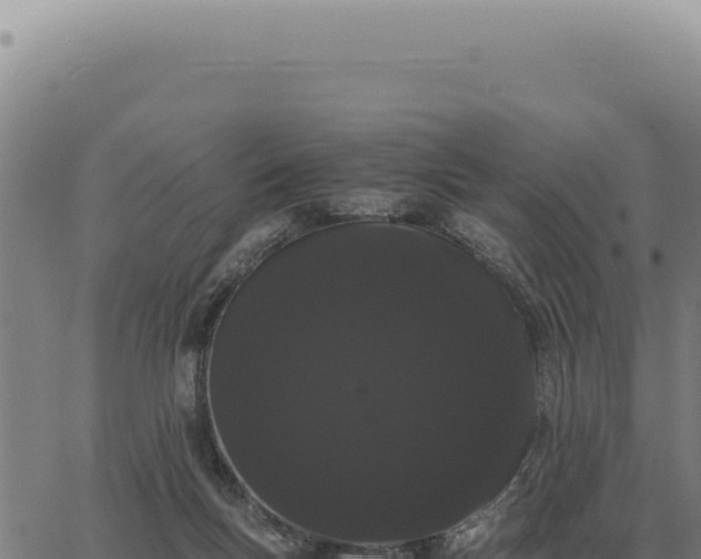 X0000063500167200601271754