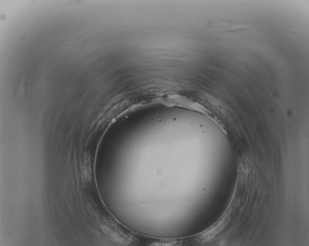 X0000063500170200601271754