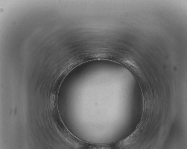 X0000063500171200601271754