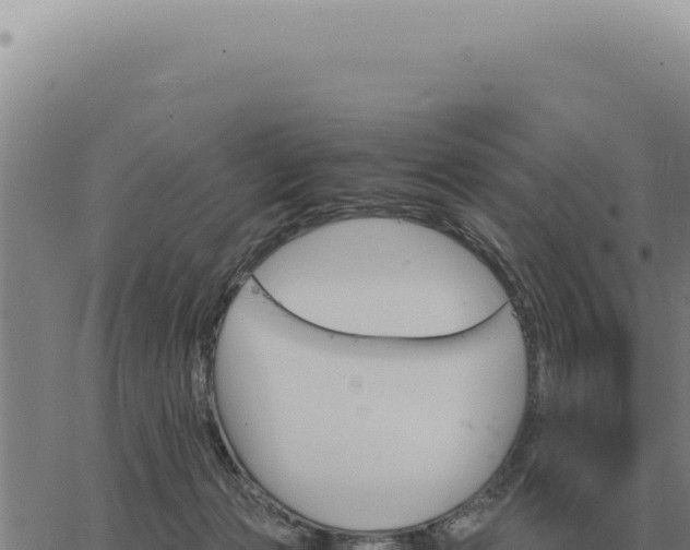 X0000063500173200601271754