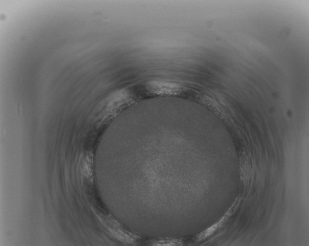 X0000063500175200601271754