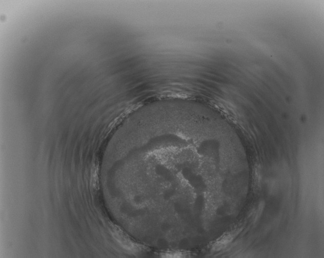 X0000063500177200601271754